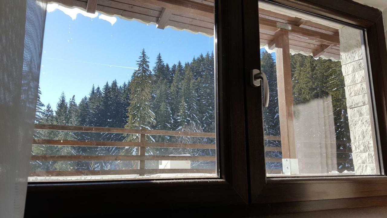 Apartament Andra Poiana Brasov Eksteriør bilde