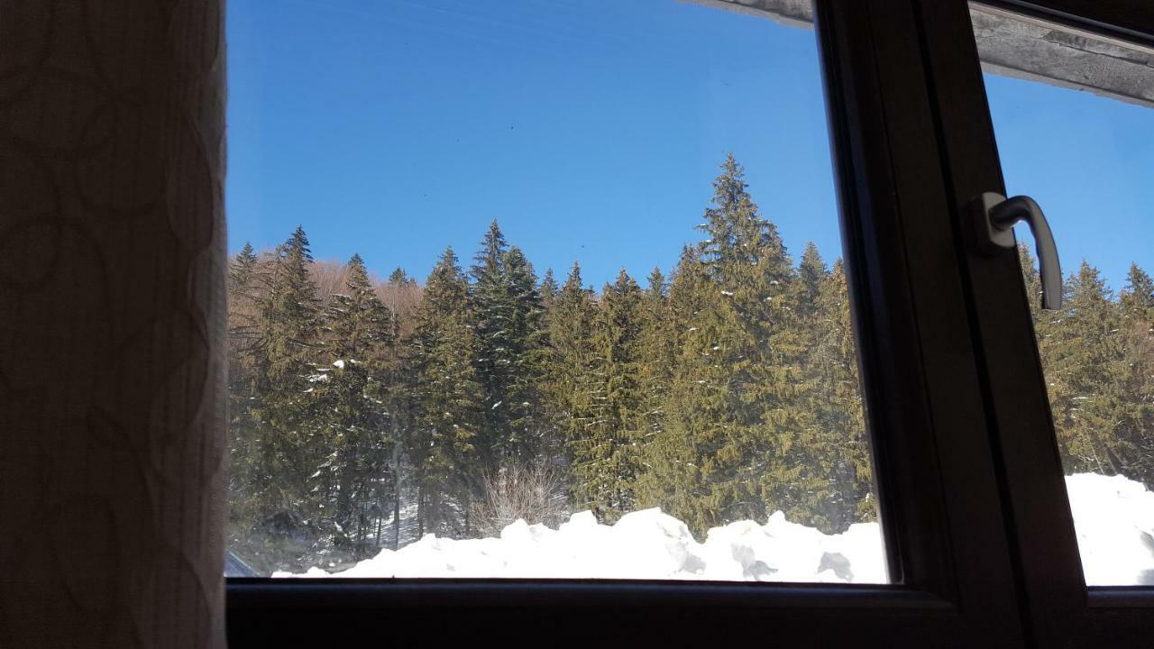 Apartament Andra Poiana Brasov Eksteriør bilde